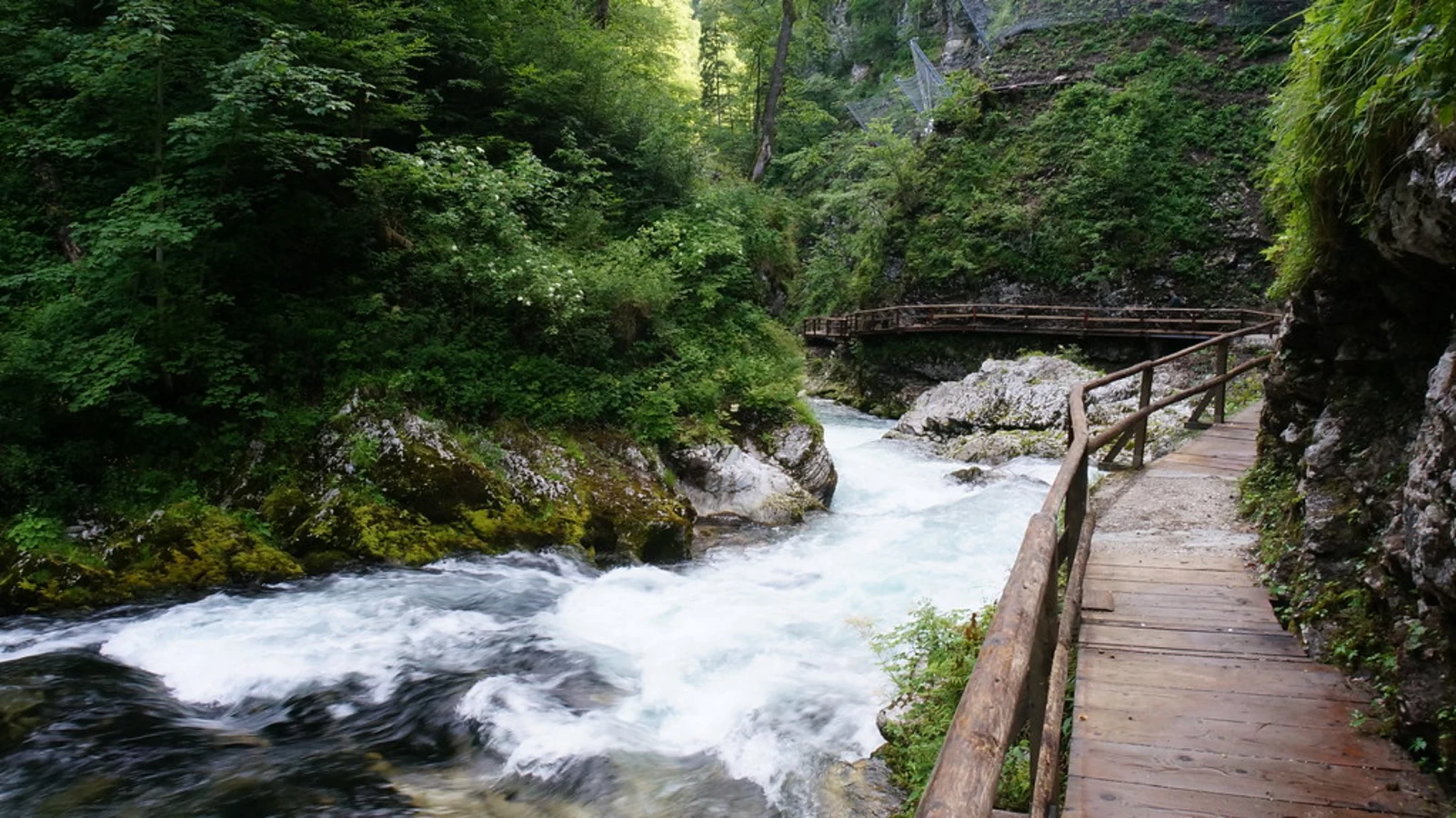 Gorges de Vintgar, Slovénie