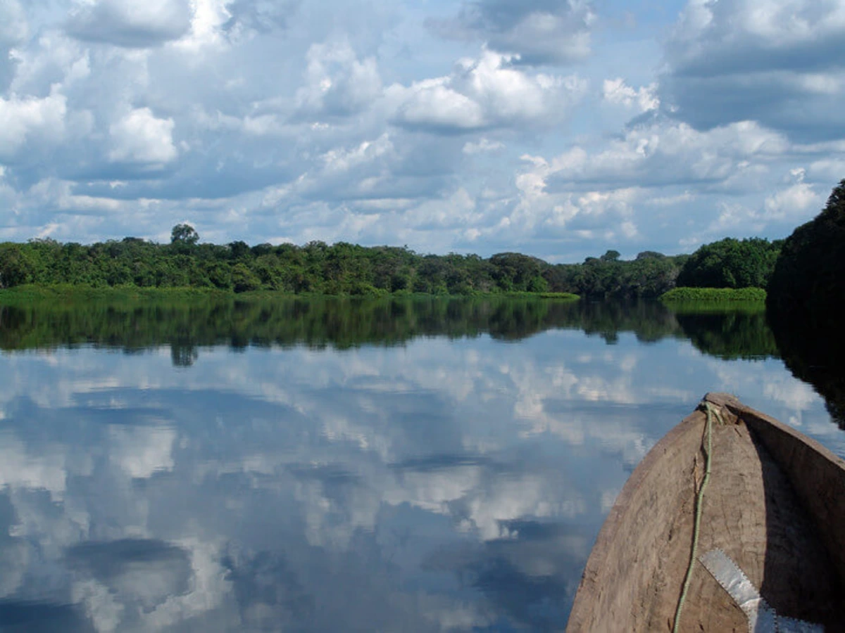 Parc national de la Salonga, République démocratique du Congo