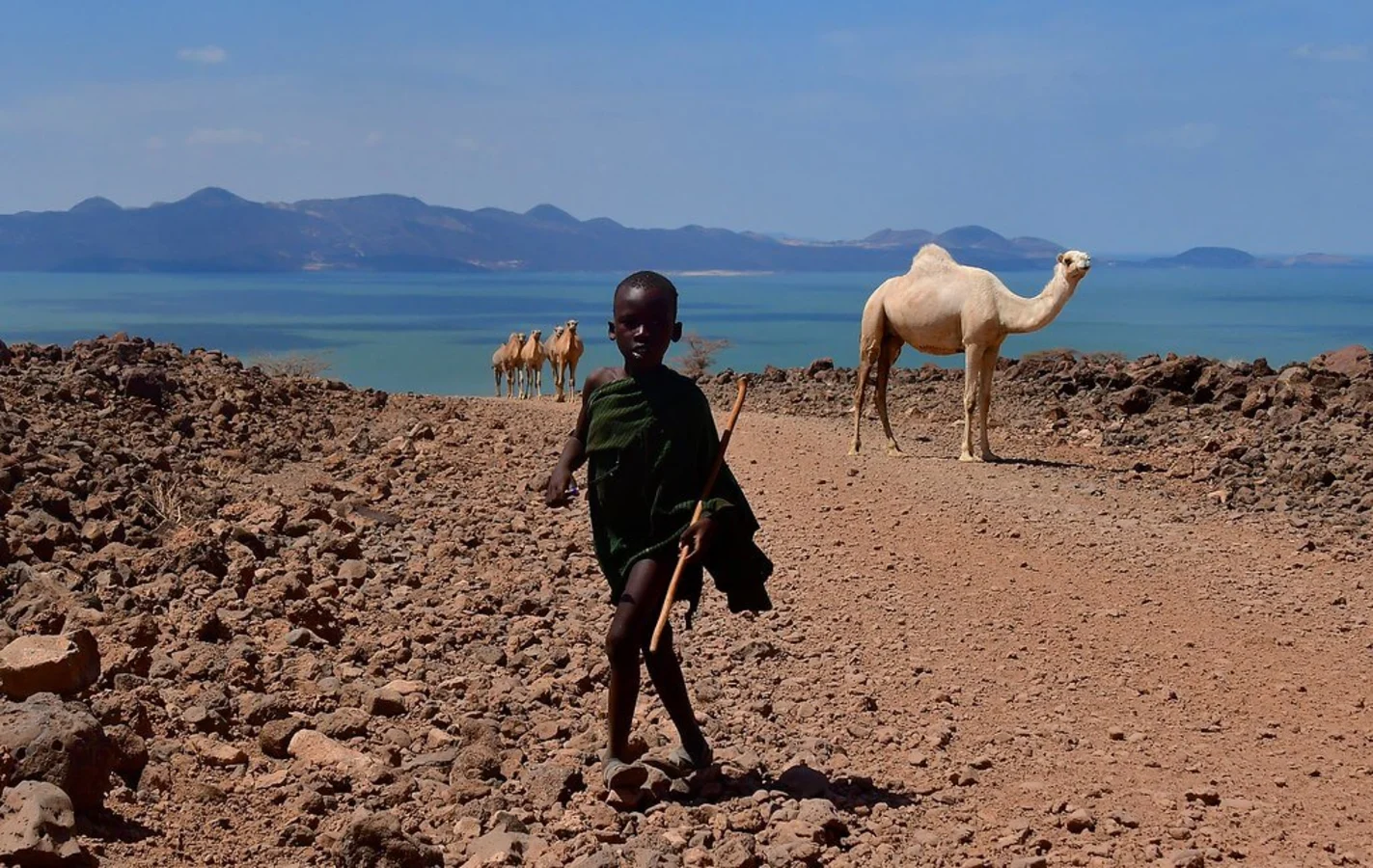 Lac Turkana, Kenya