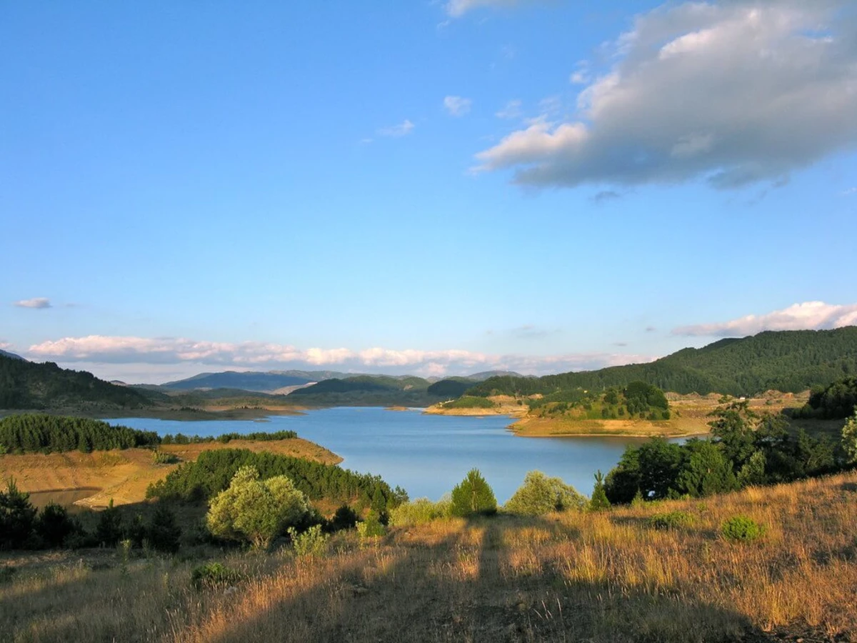 Vjosa, Grèce, Albanie, Albanie