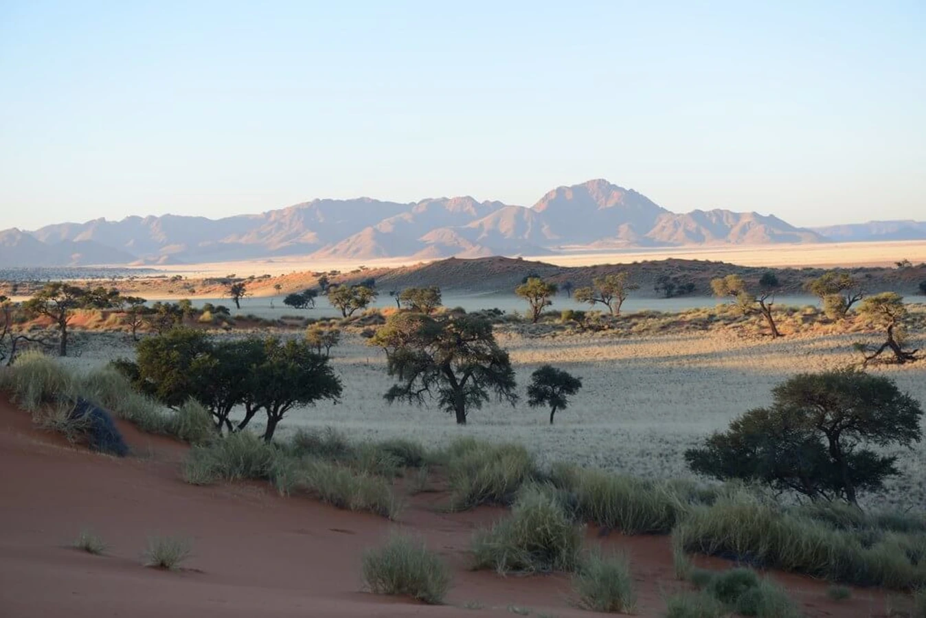 Réserve naturelle du NamibRand, Namibie