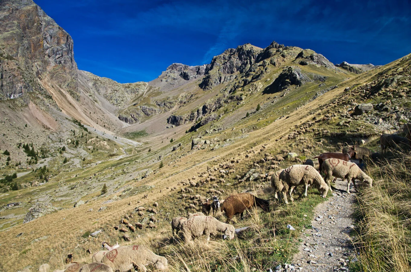 Col des Grangettes, France