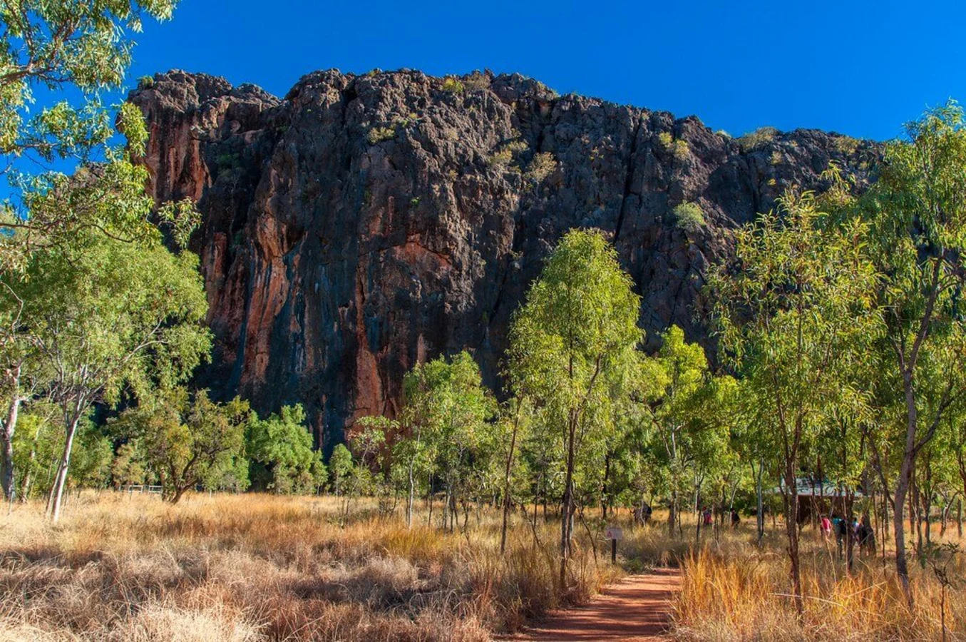 Parc national de Windjana Gorge, Australie