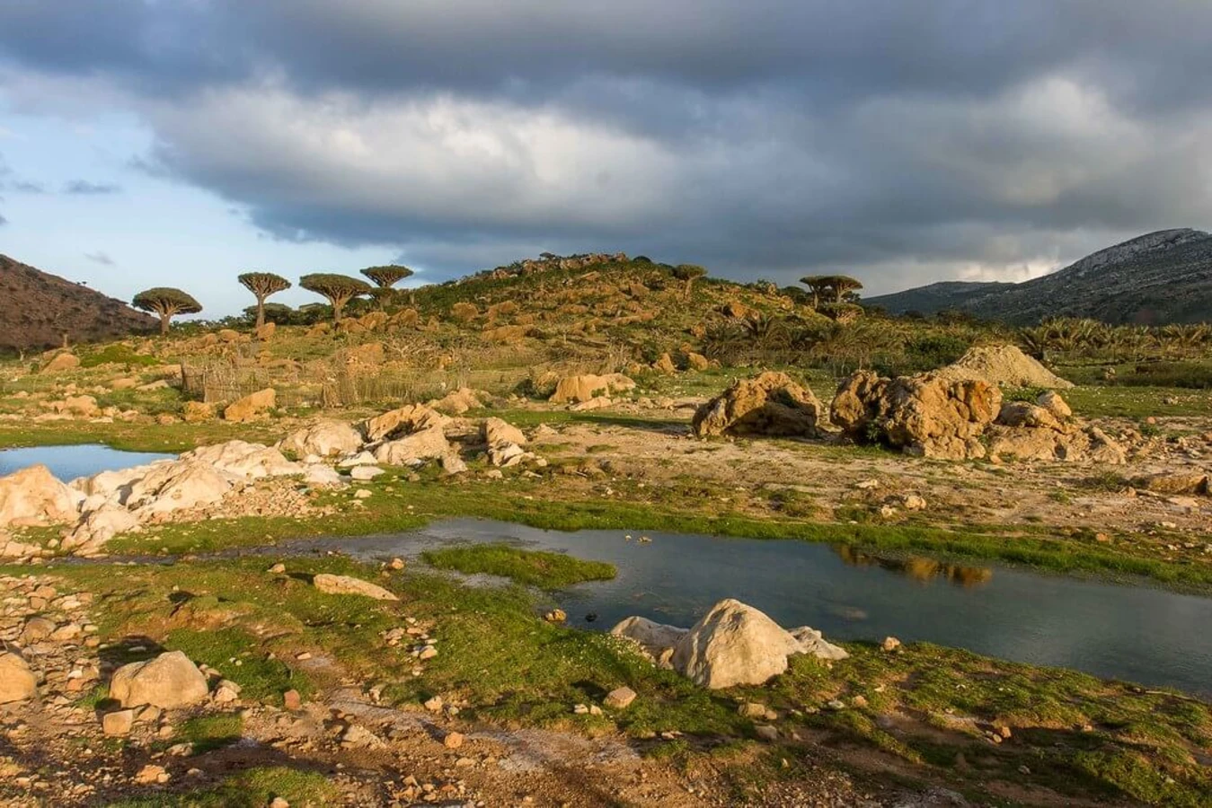 Homhil Campsite, Yémen, Socotra