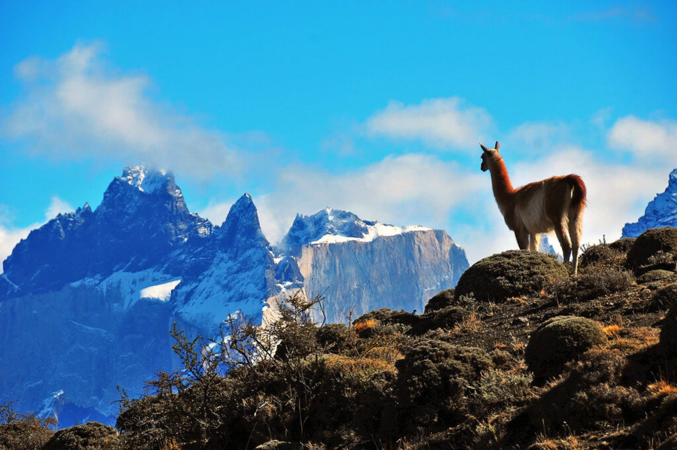 Parc national Torres del Paine, Chili