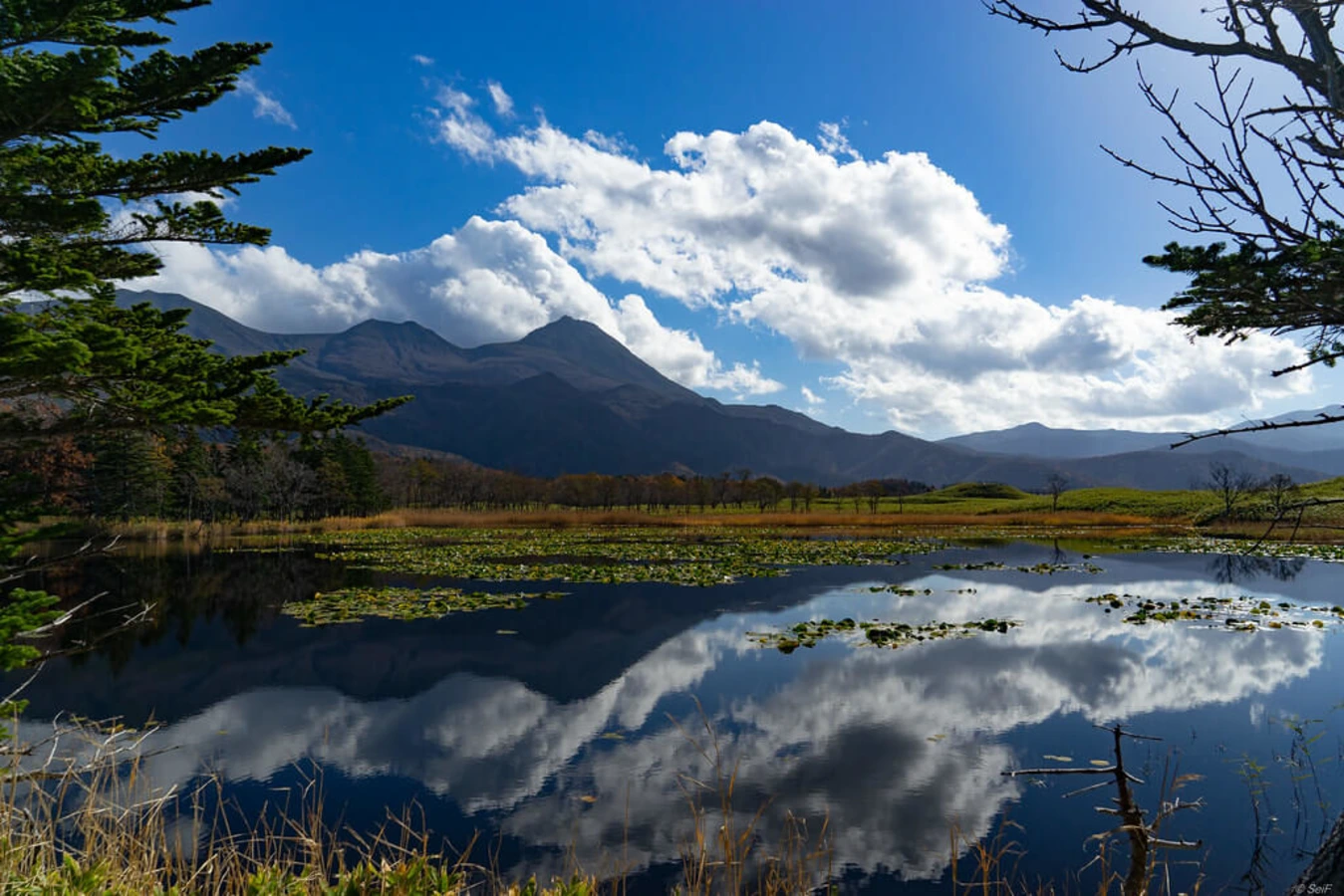 Parc national de Shiretoko, Japon