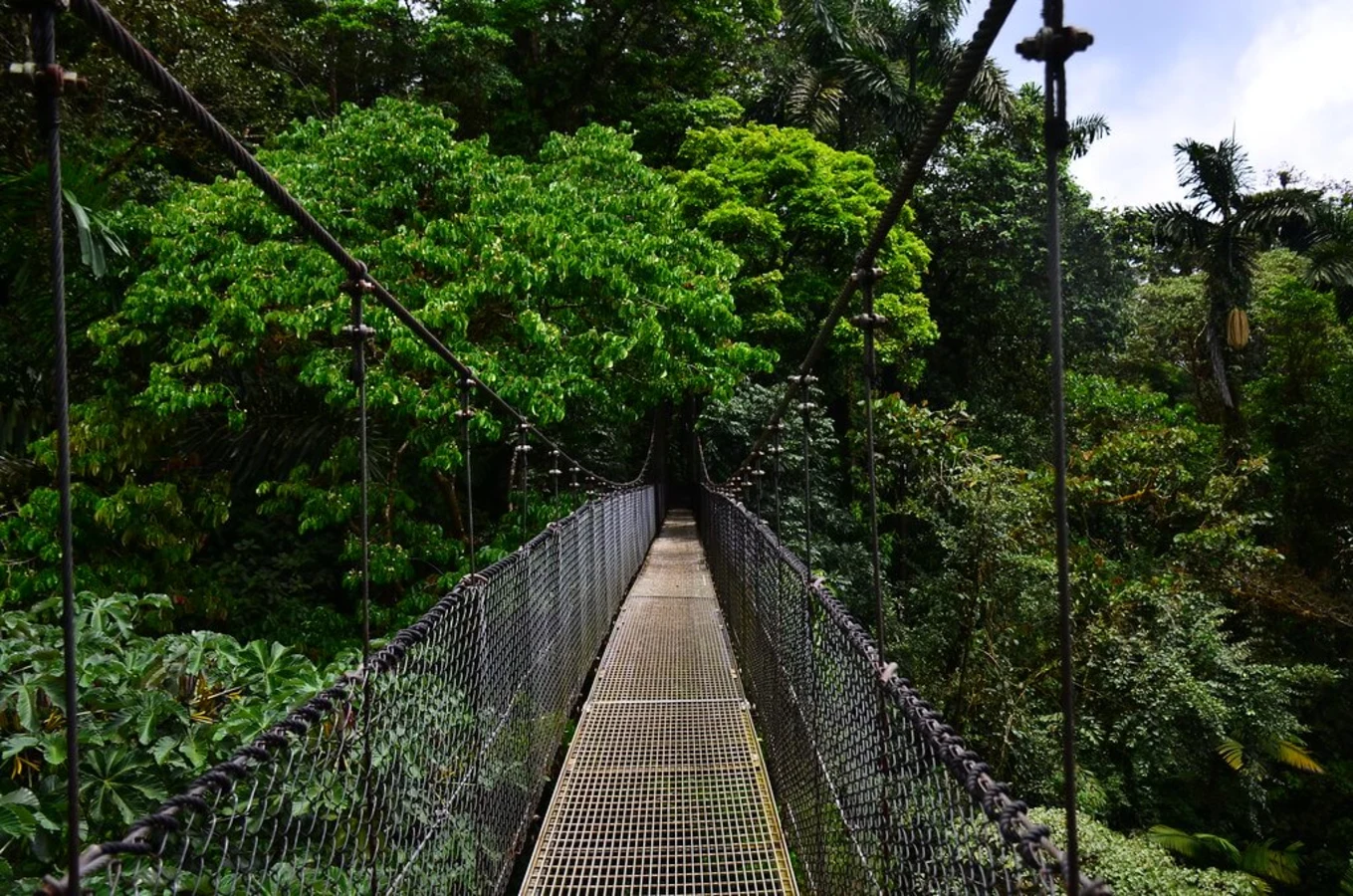 Mistico Arenal Hanging Bridges, Costa Rica