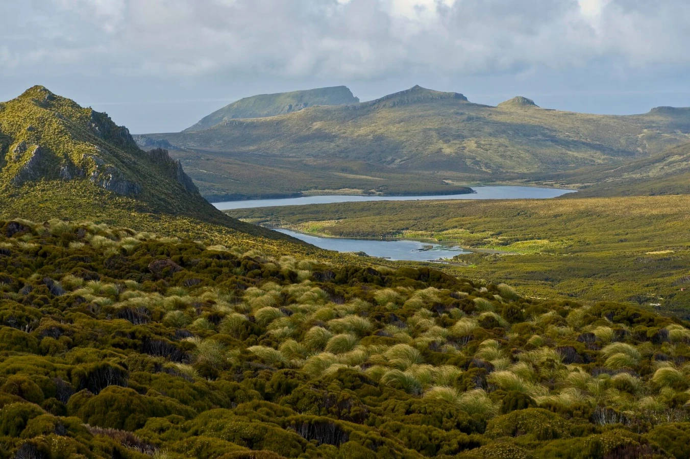 Îles Campbell, Nouvelle-Zélande