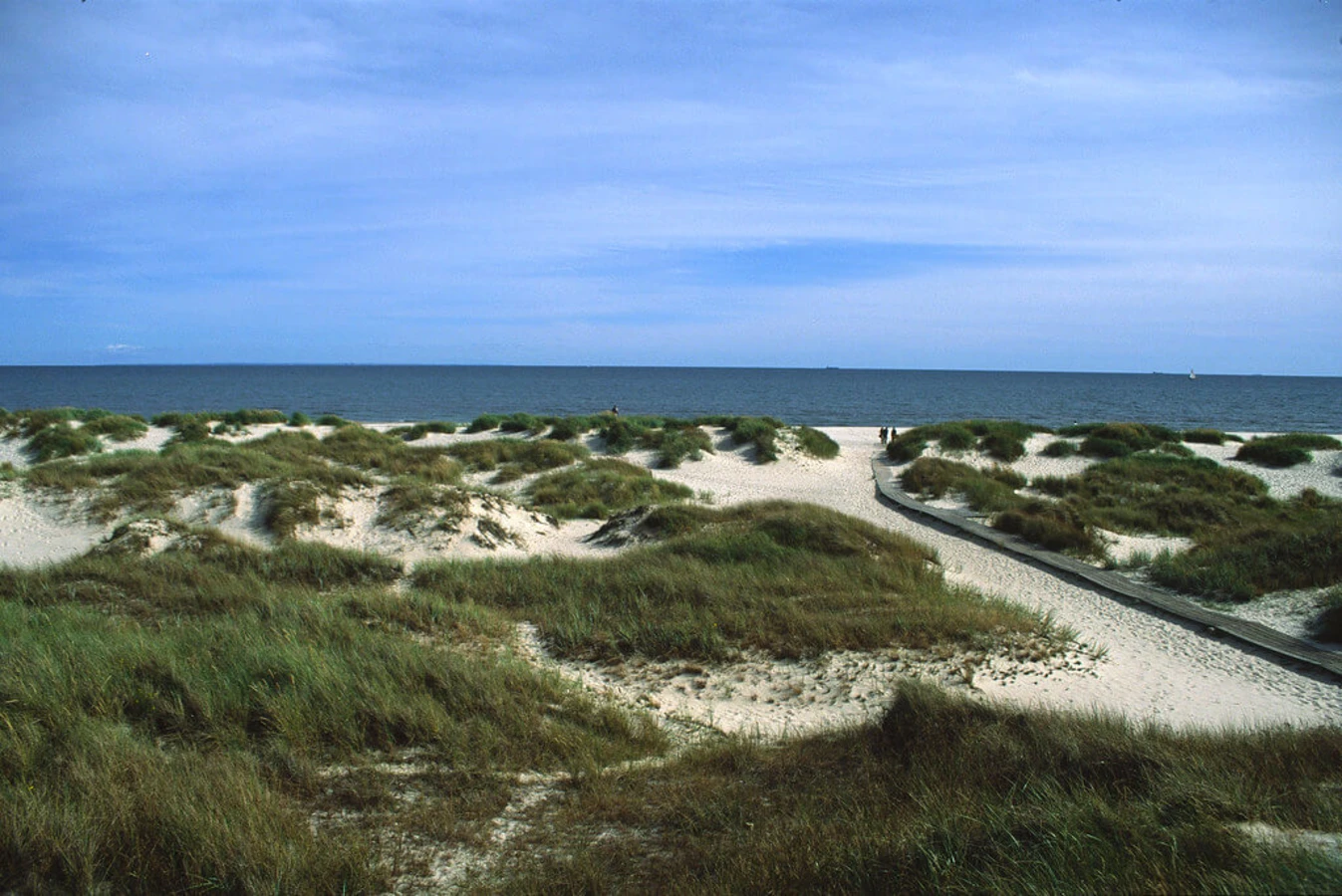 Sandhammaren, Suède