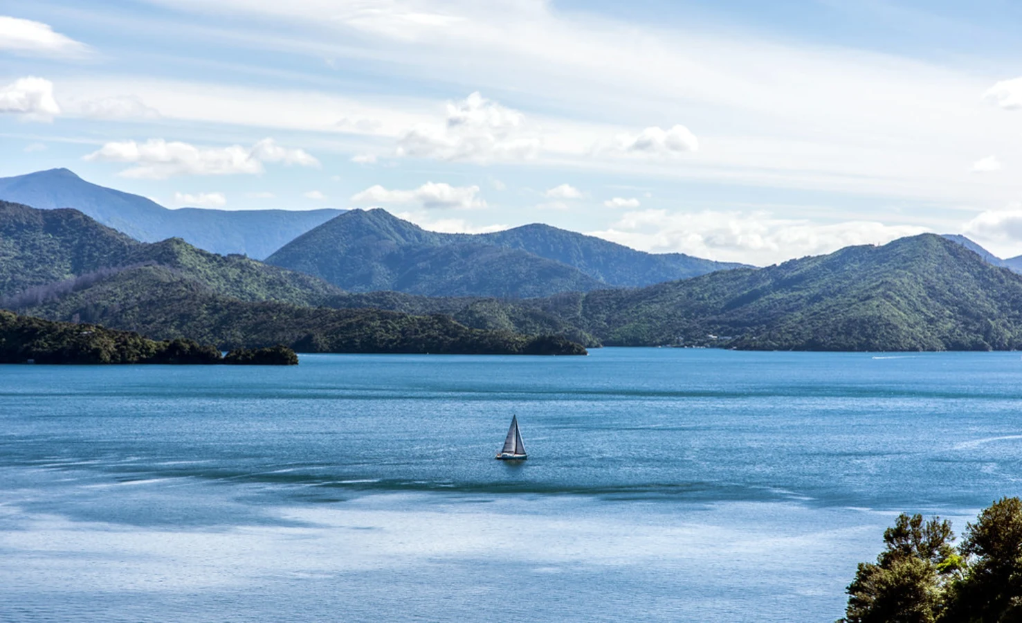 Queen Charlotte Sound, Nouvelle-Zélande