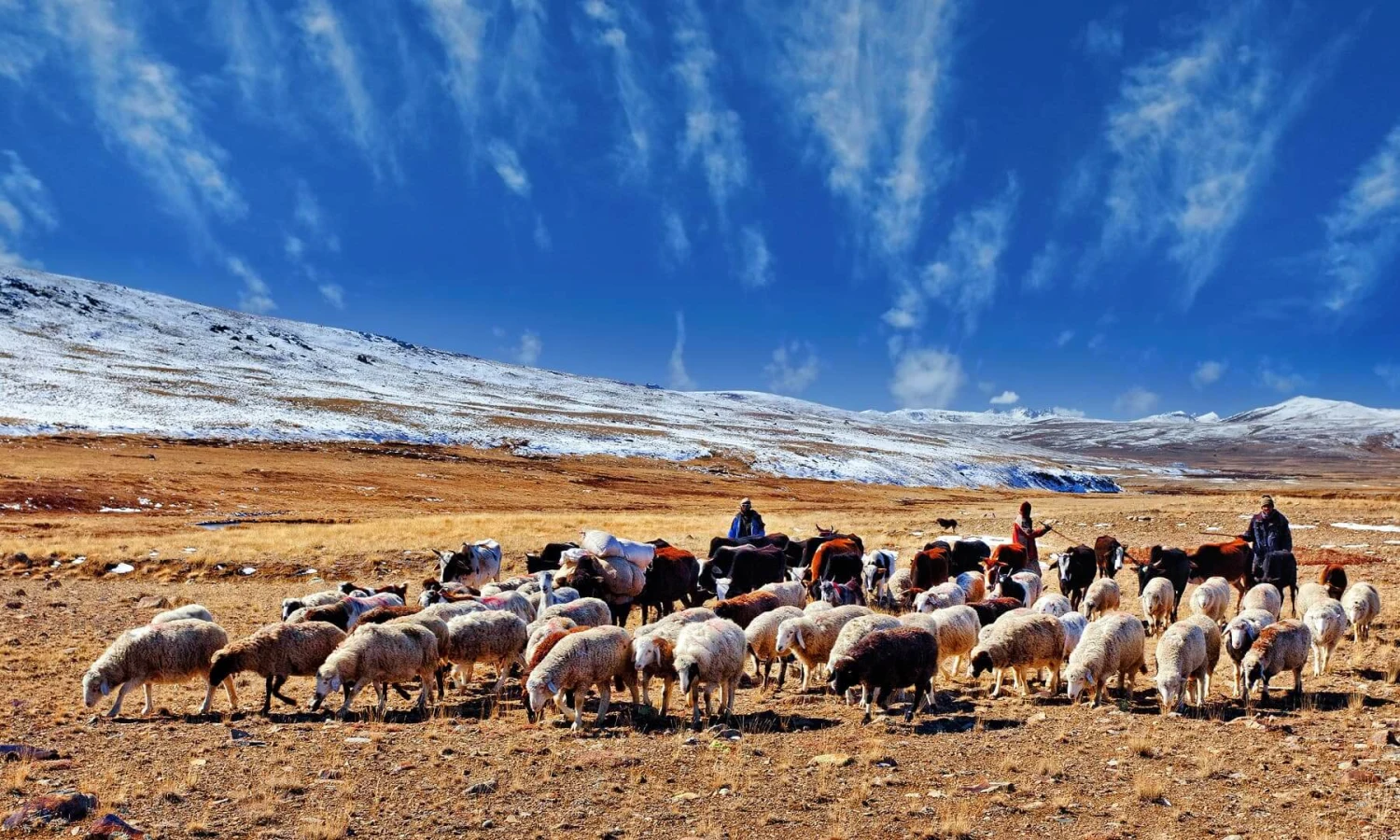 Parc national de Deosai, Pakistan
