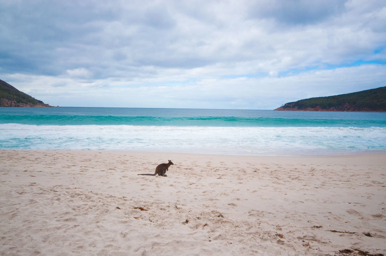 Baie de Wineglass, Australie, Tasmanie