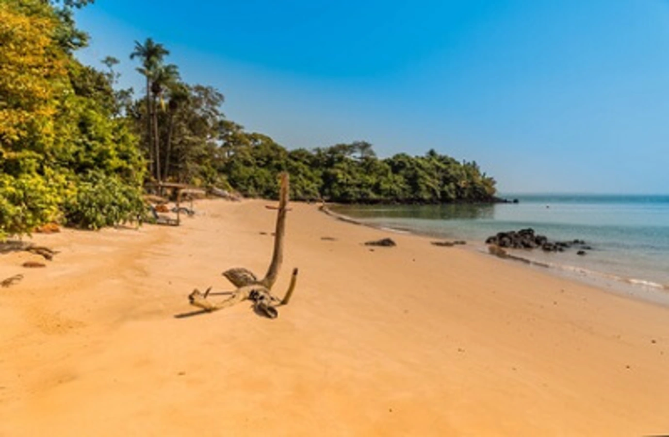 Caravela, Guinée-Bissau