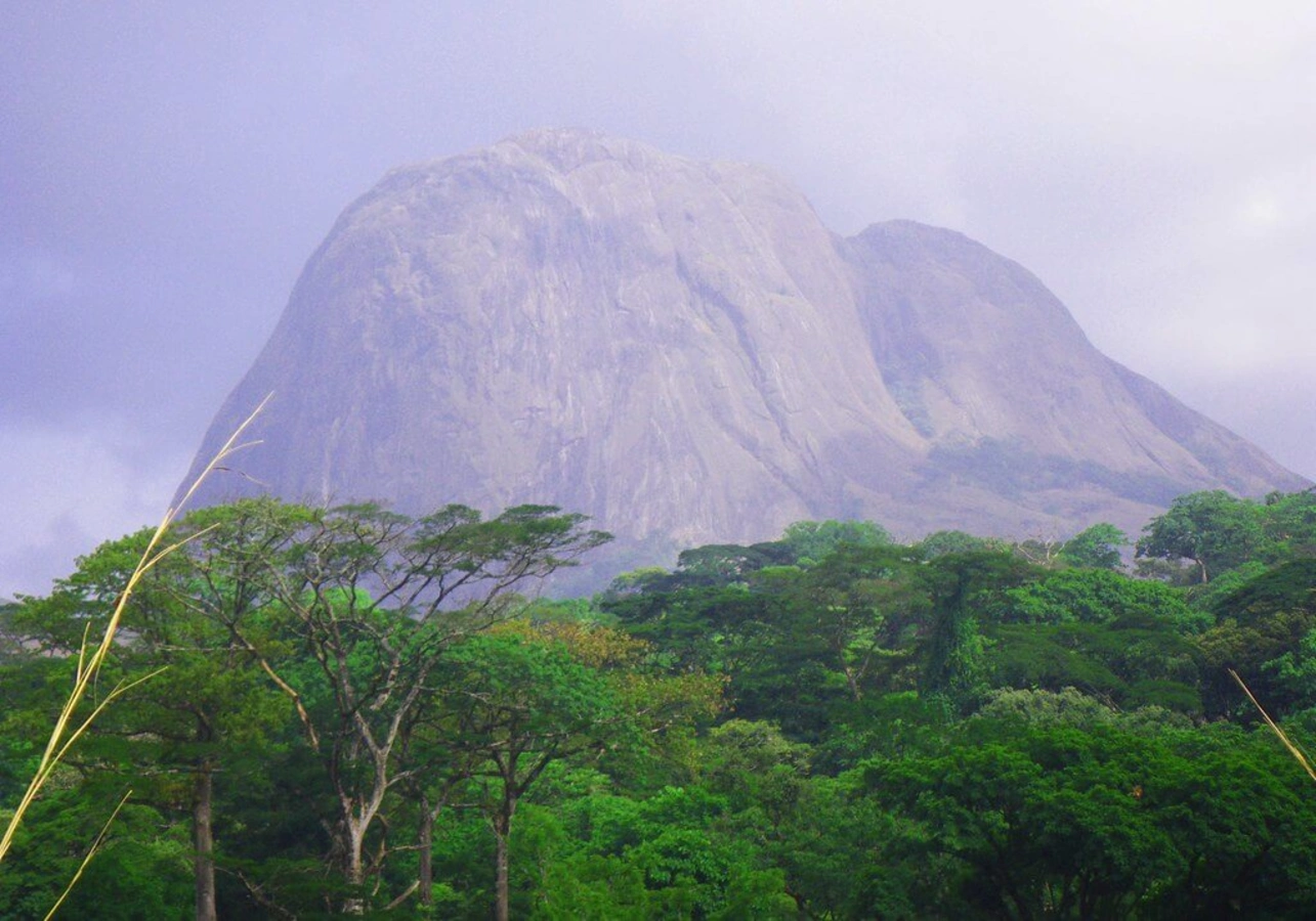 Tingi Hills Forest Reserve, Sierra Leone