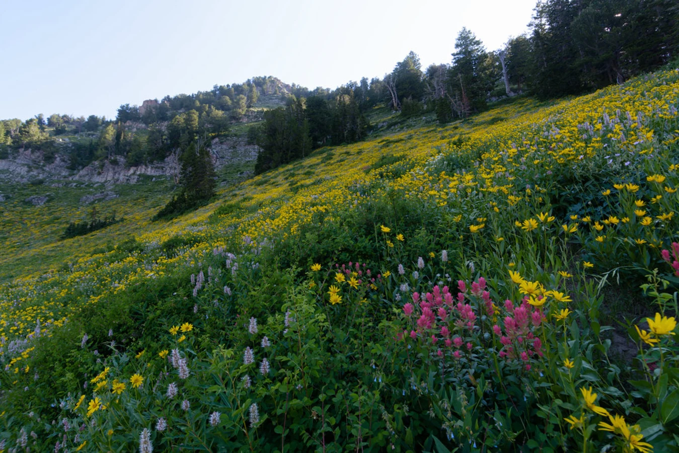 Mont Olympe (États-Unis), États-Unis