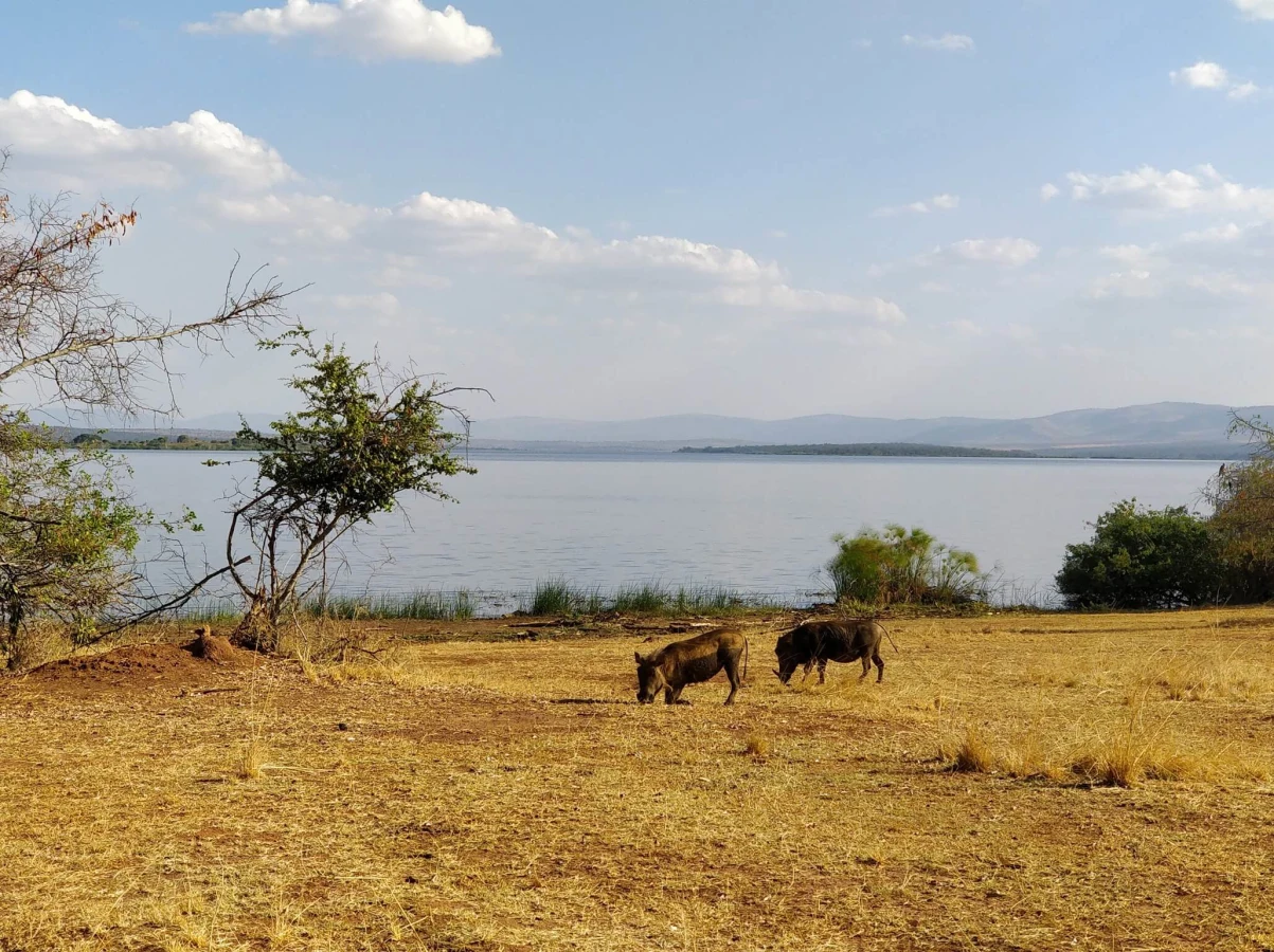 Parc national de l'Akagera, Rwanda