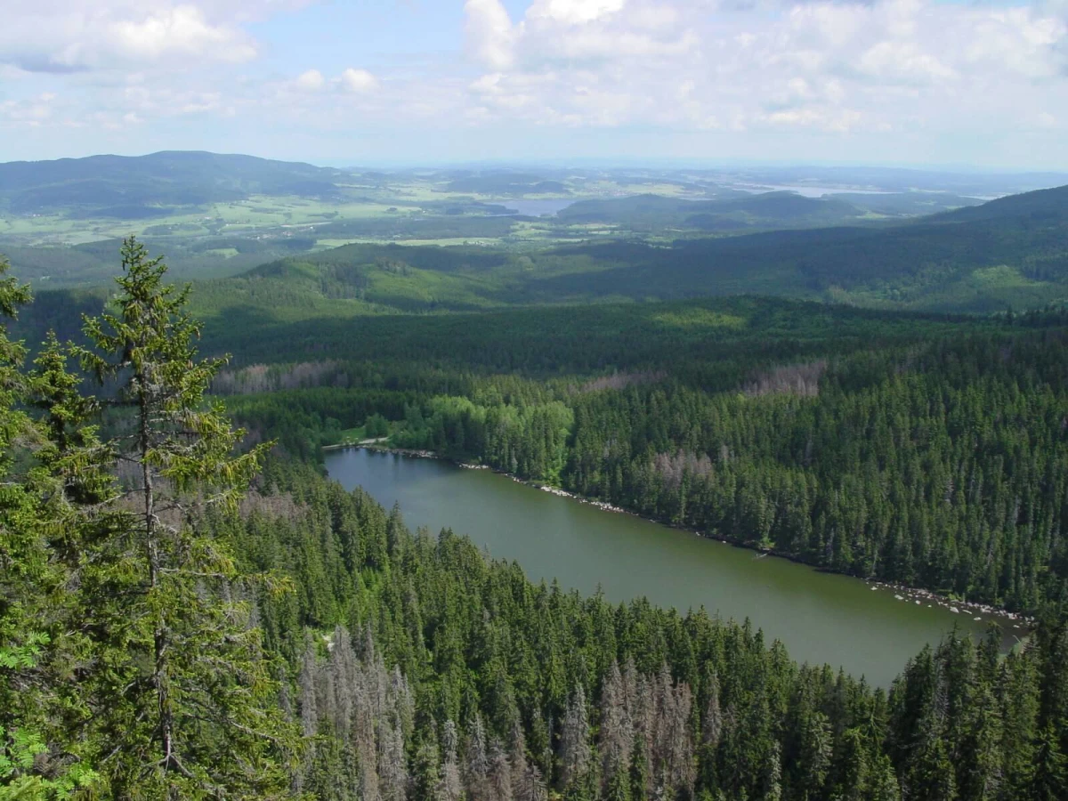 Parc national de Sumava, République tchèque