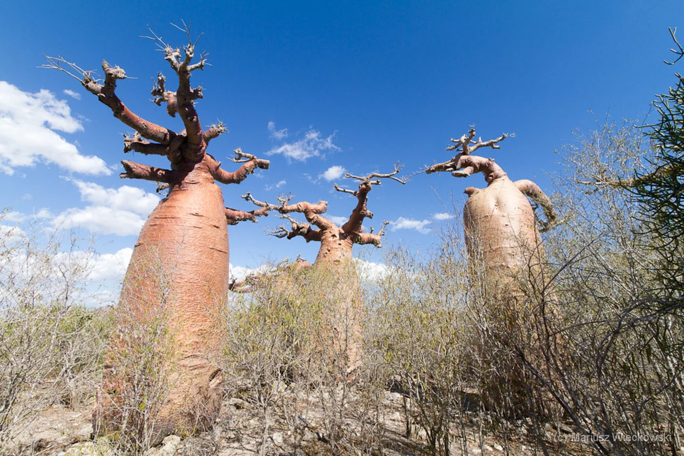 Morombe, Madagascar