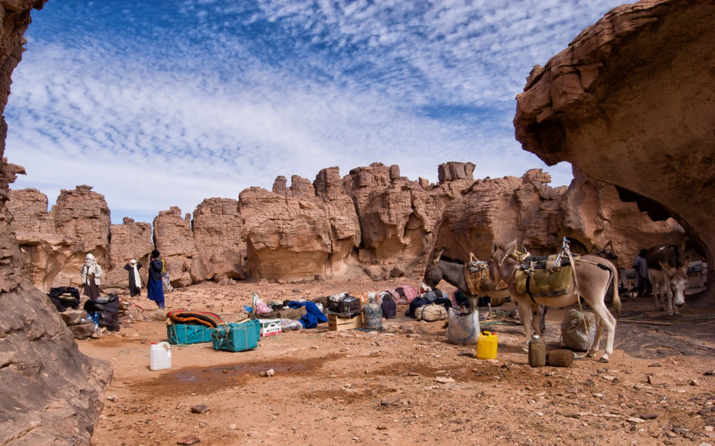 Sefar, Algérie