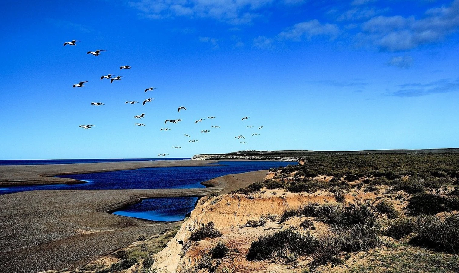 Caleta Valdès, Argentine