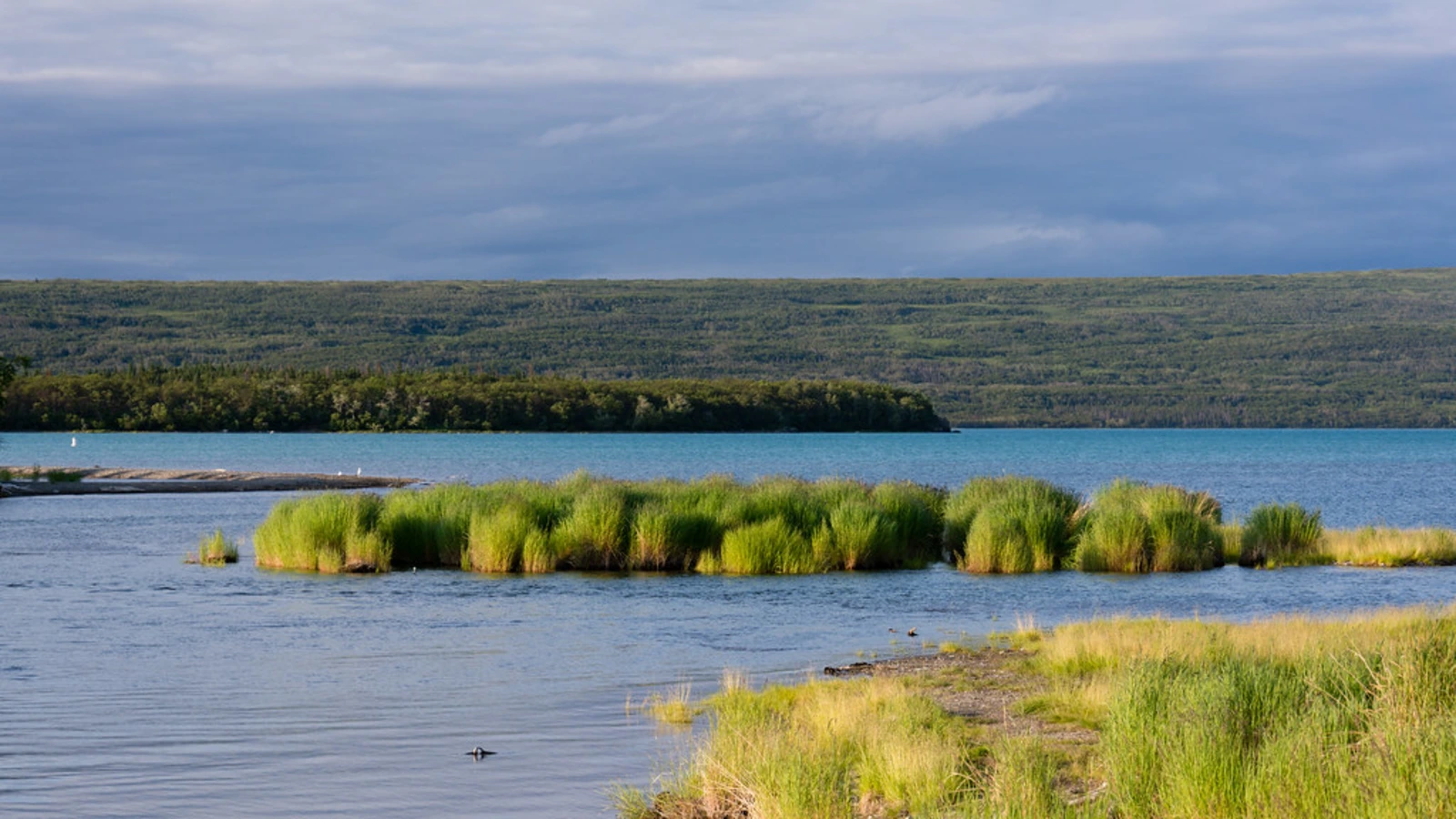 Naknek Lake, États-Unis