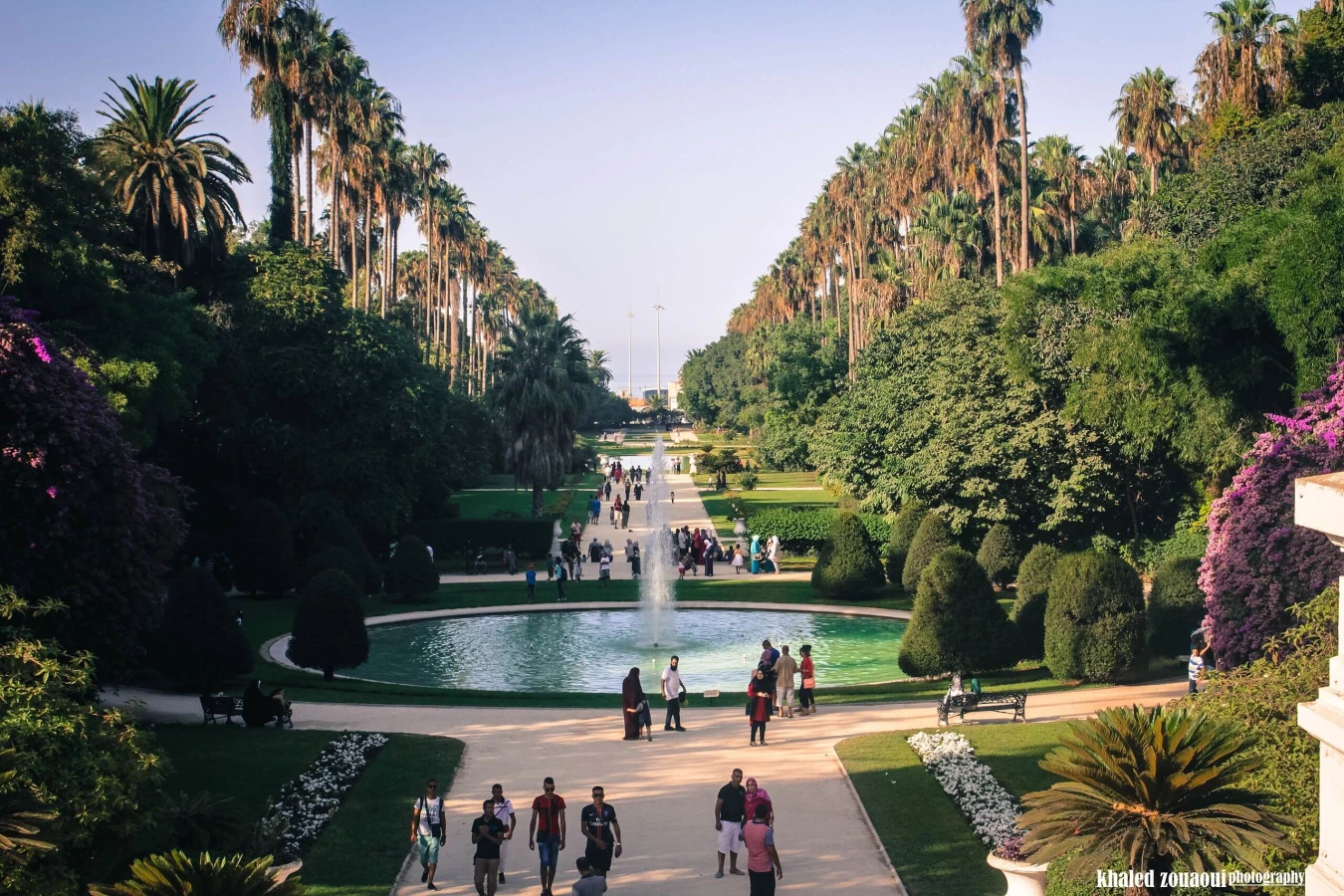 Jardin d'essai du Hamma, Algérie