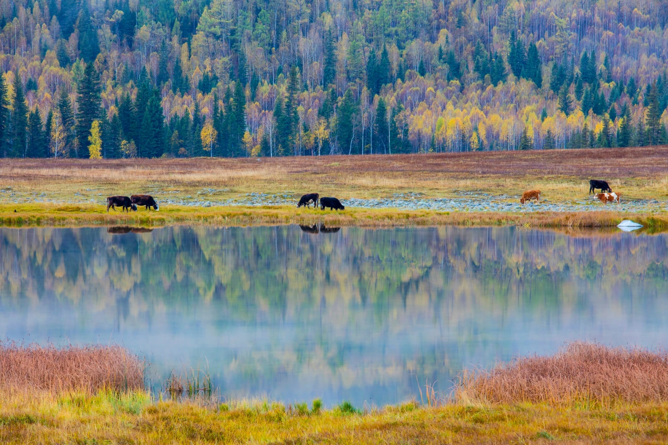 Lac Kanas, Chine