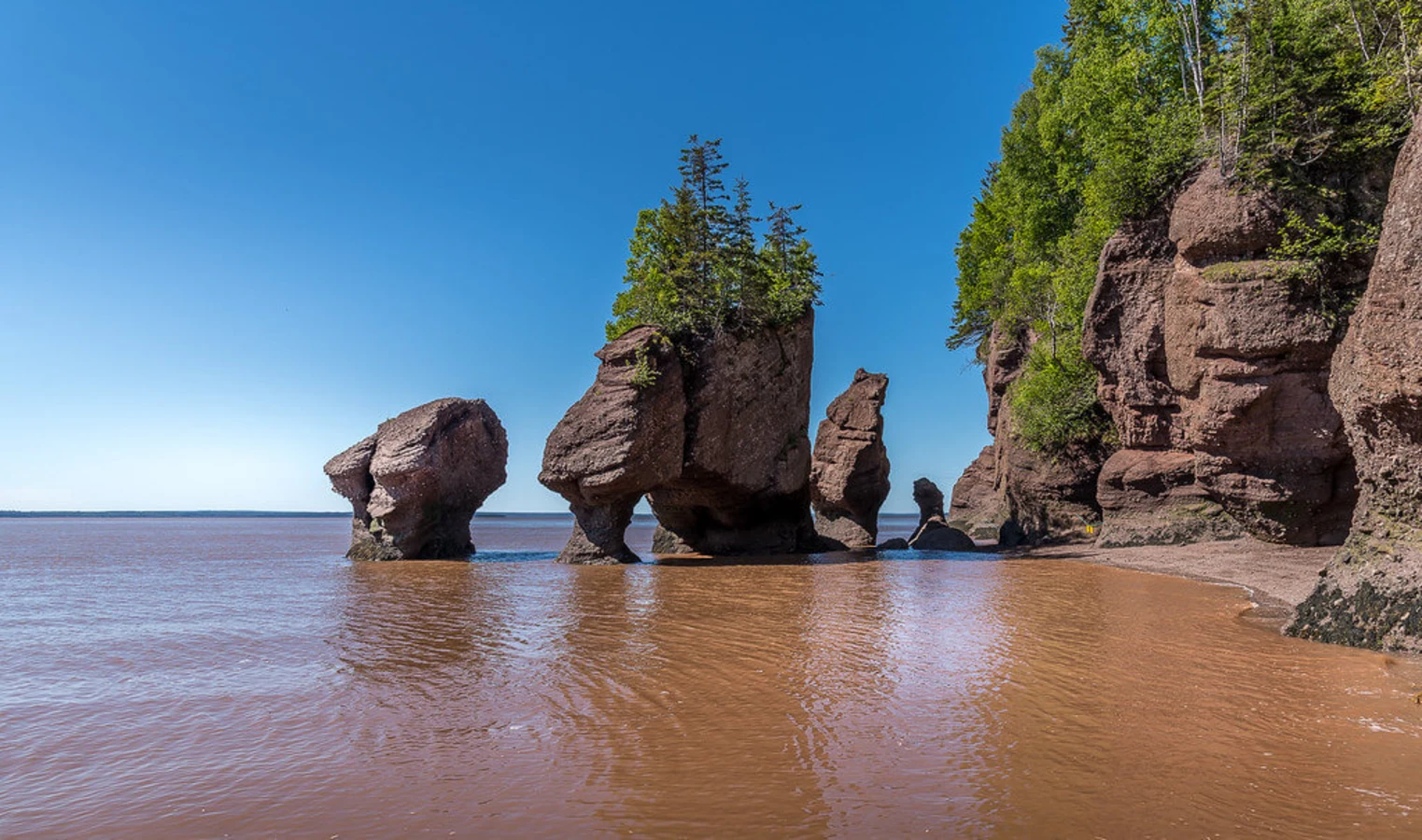 Parc provincial Hopewell Rocks, Canada