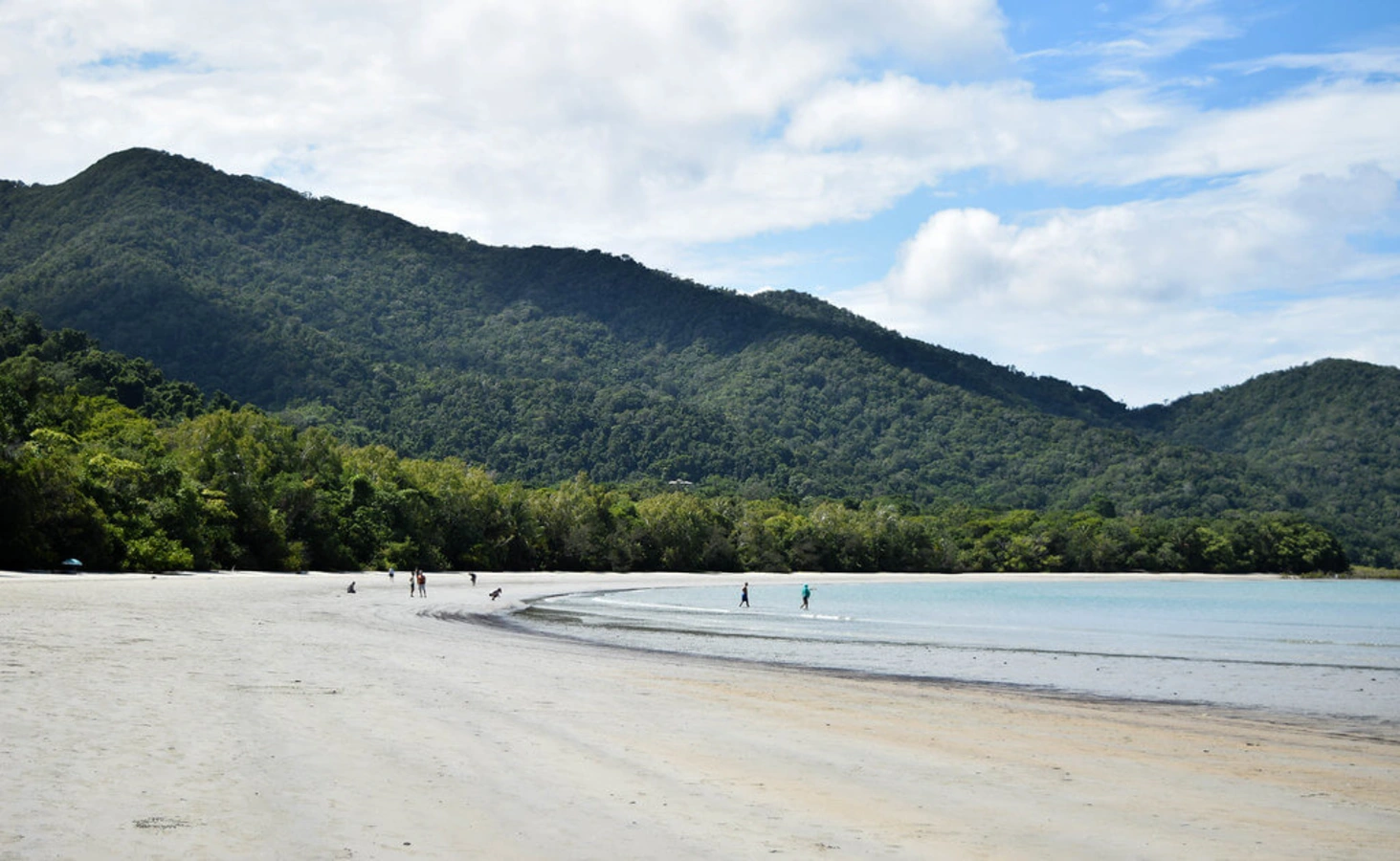 Parc national de Daintree, Australie
