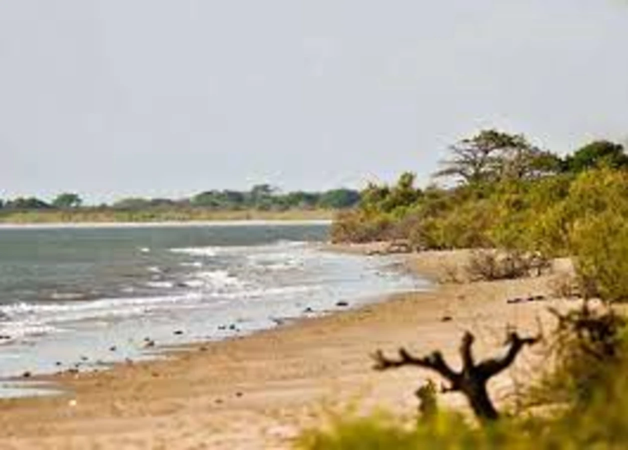 Parc national de Niumi, Gambie
