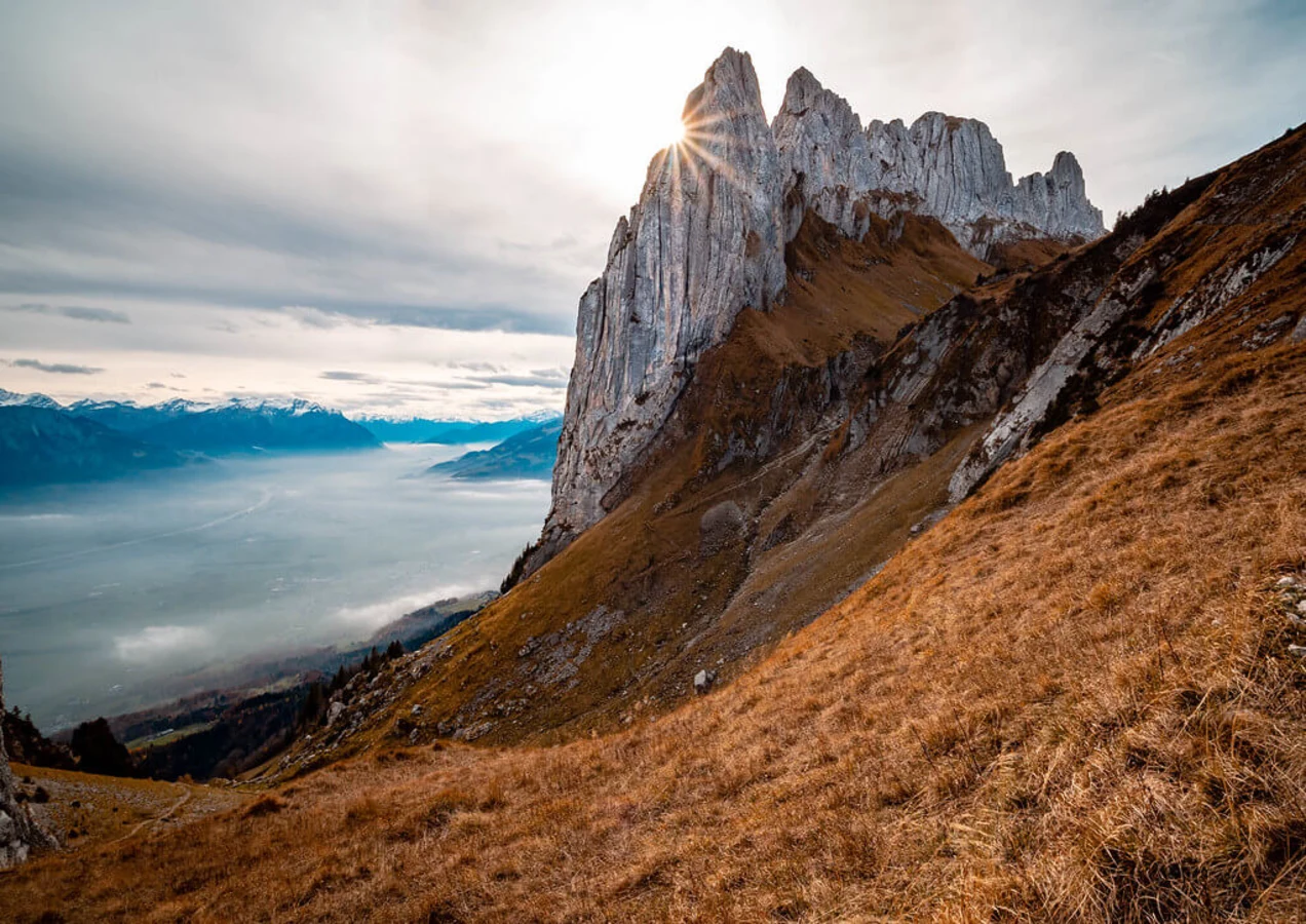 Saxer Lucke, Suisse, Suisse