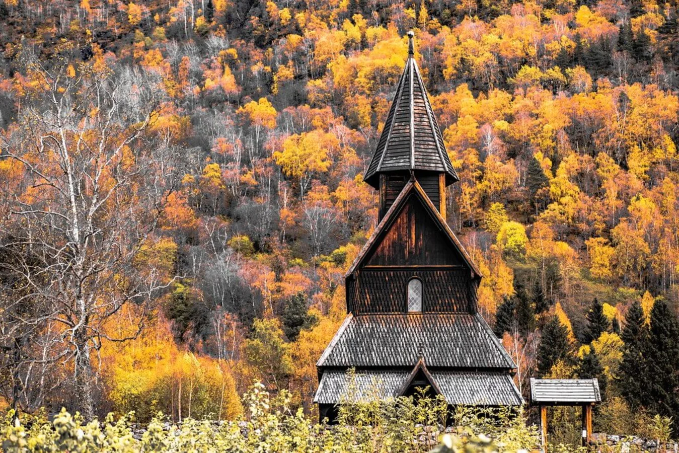 Stavkirke d'Urnes, Norvège