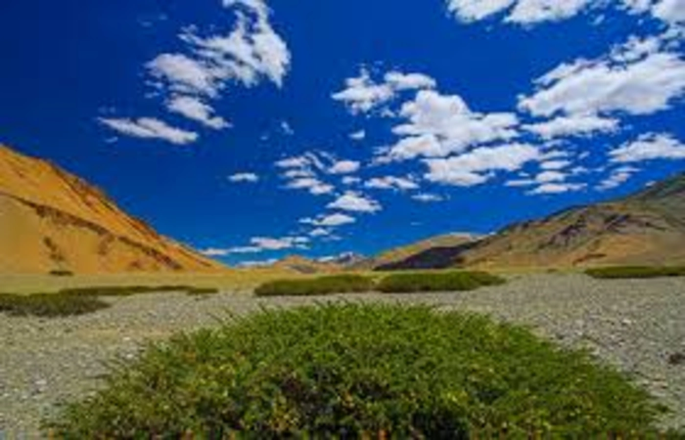 Changthang Wildlife Sanctuary, Inde