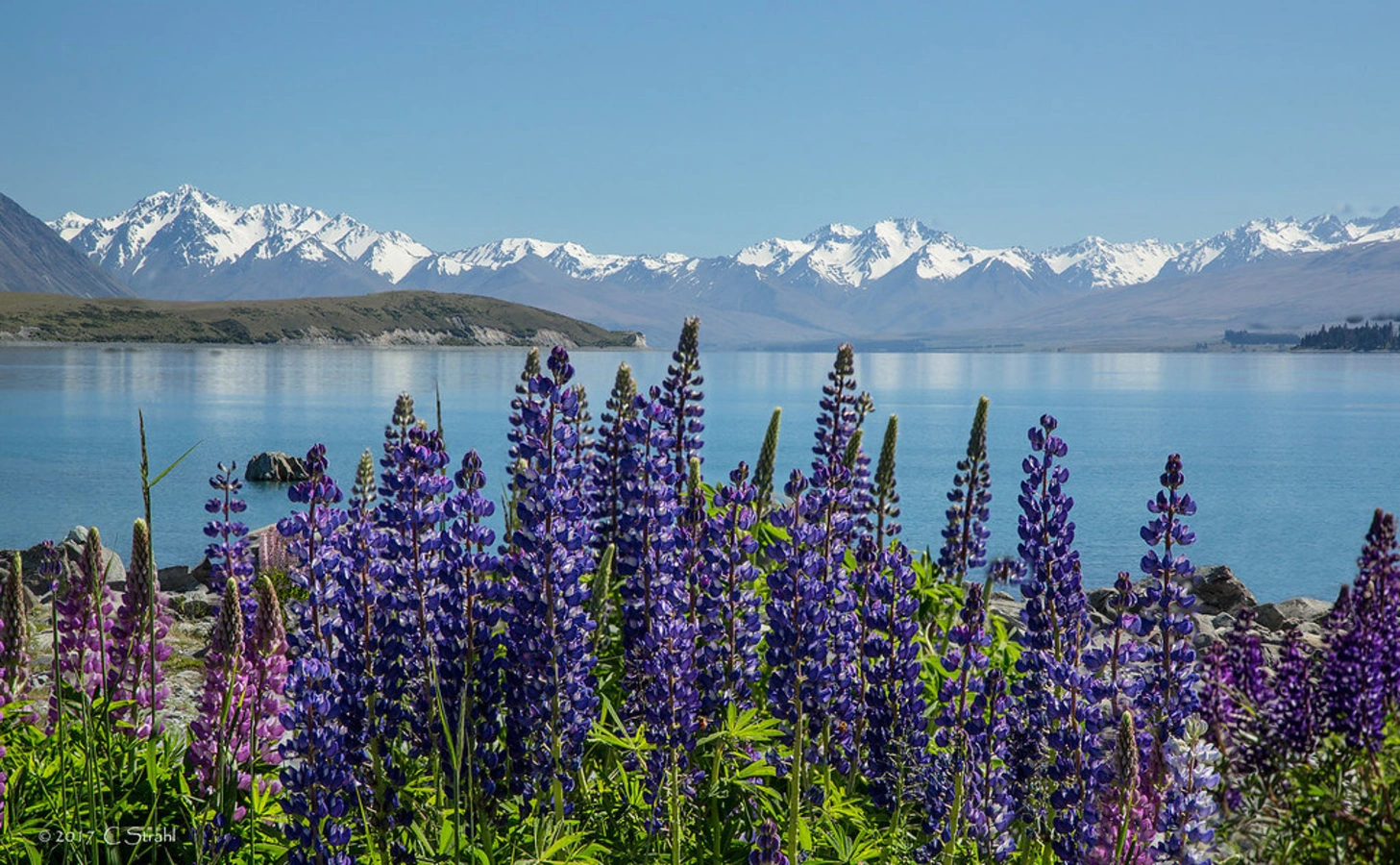 Lac Tekapo, Nouvelle-Zélande