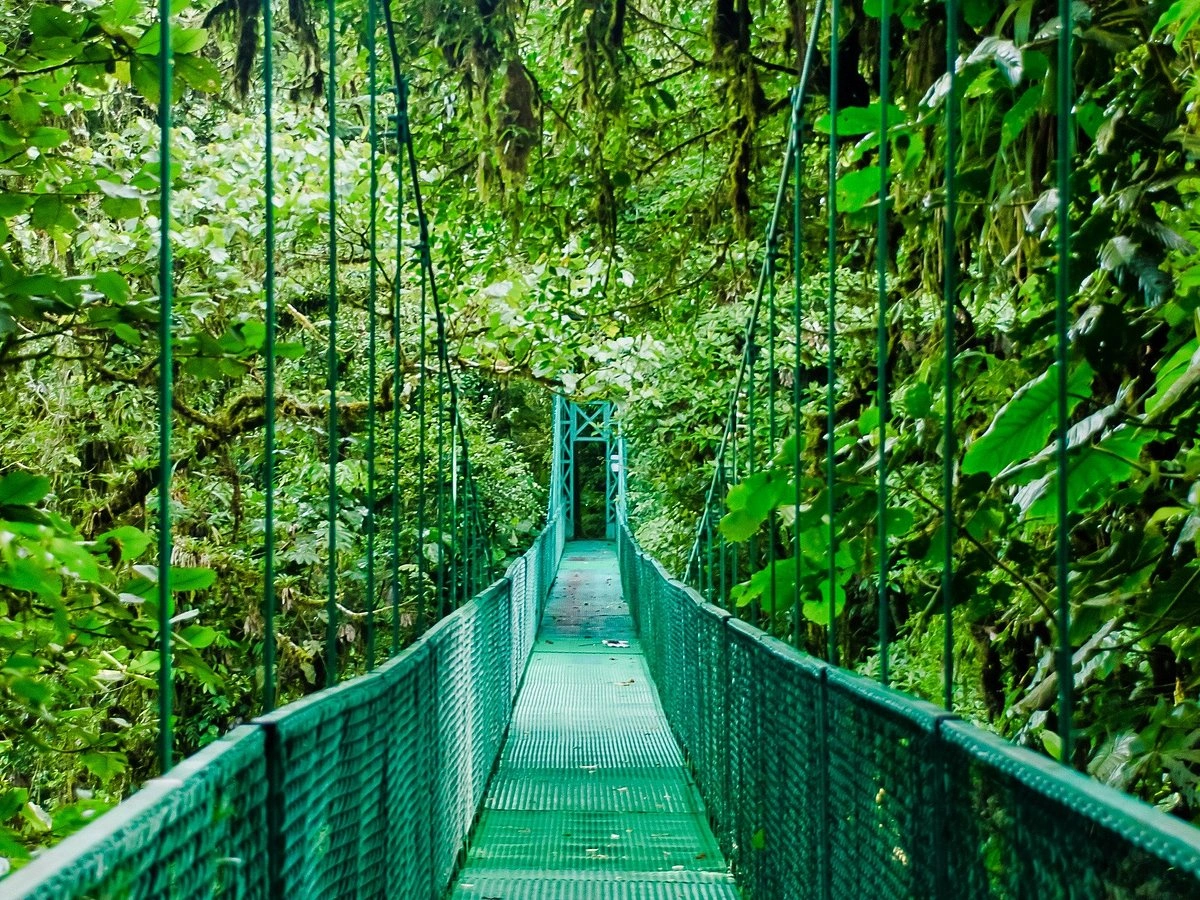 Parc d'aventure Selvatura, Costa Rica