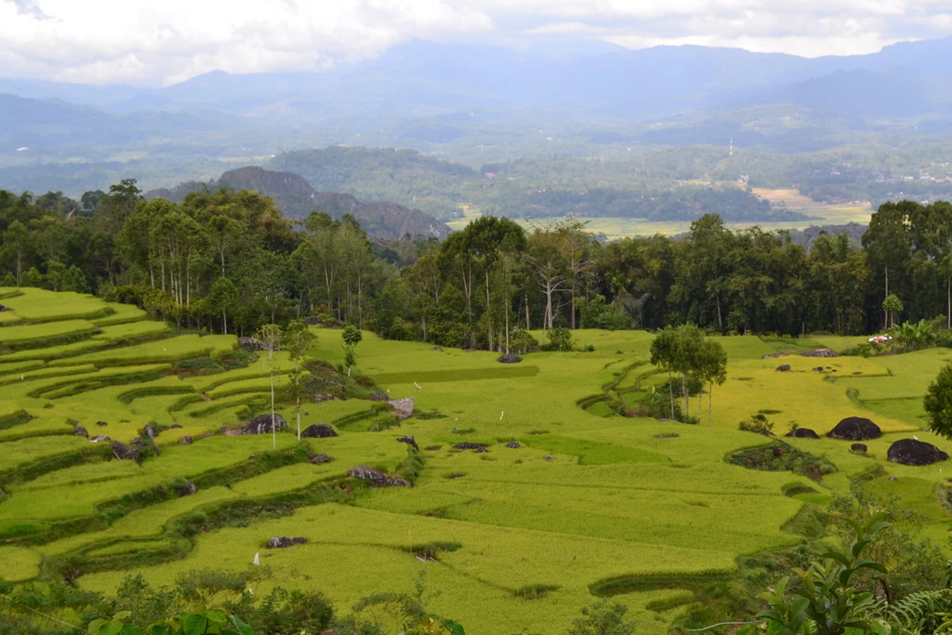 Pays Toraja, Indonésie