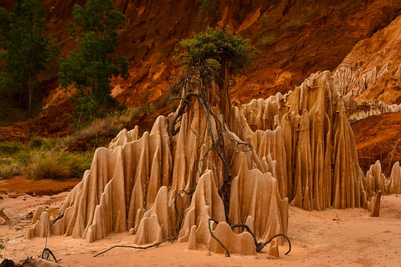 Cirque rouge, Madagascar
