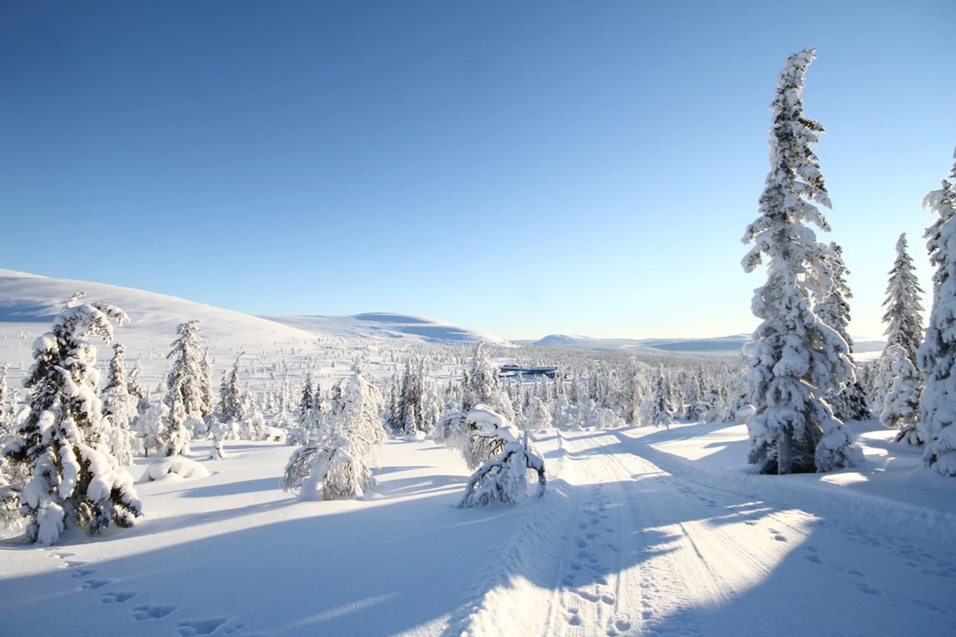 Hetta - Pallas Hiking Trail, Finlande
