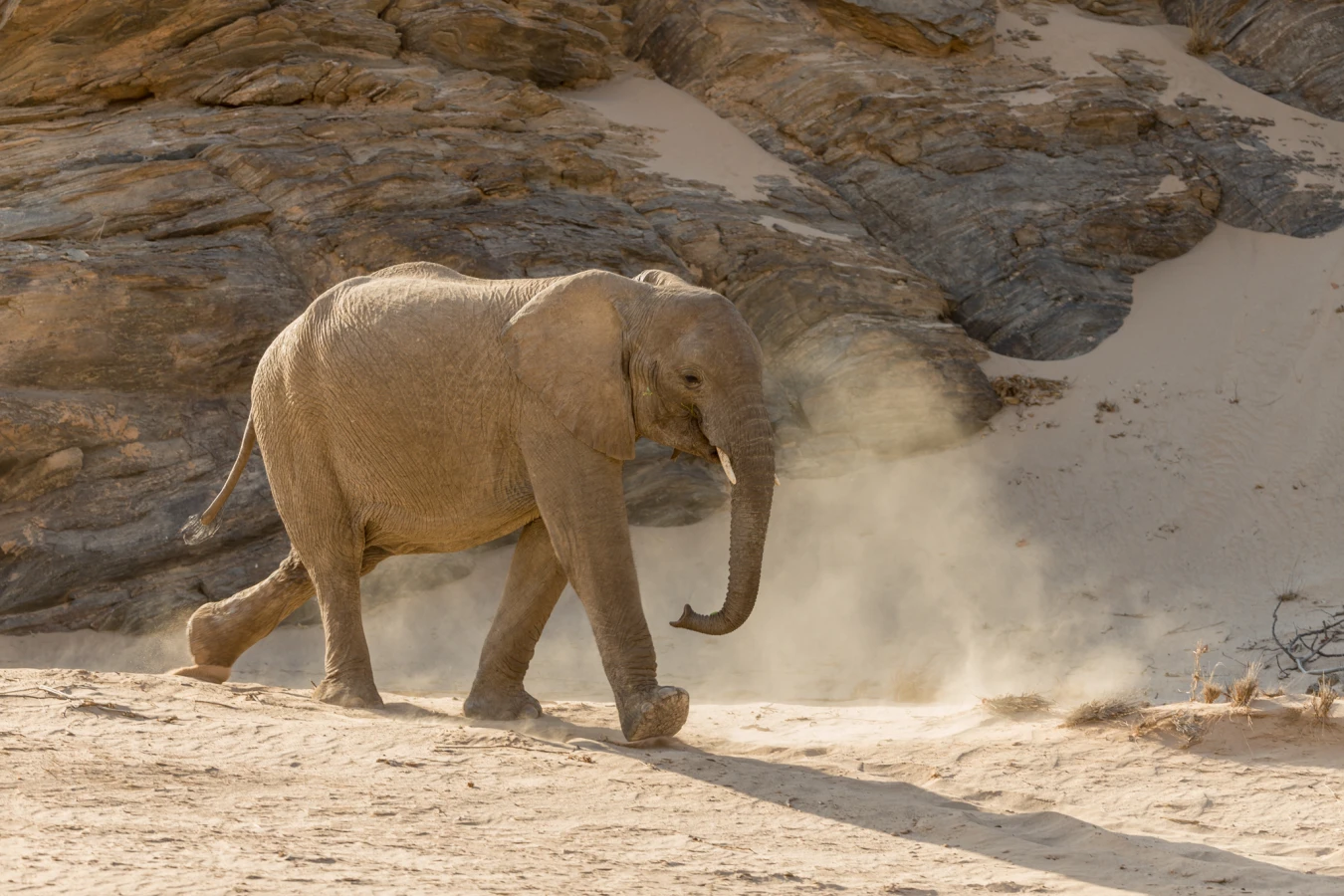 Crowther's 4x4 Trail, Namibie