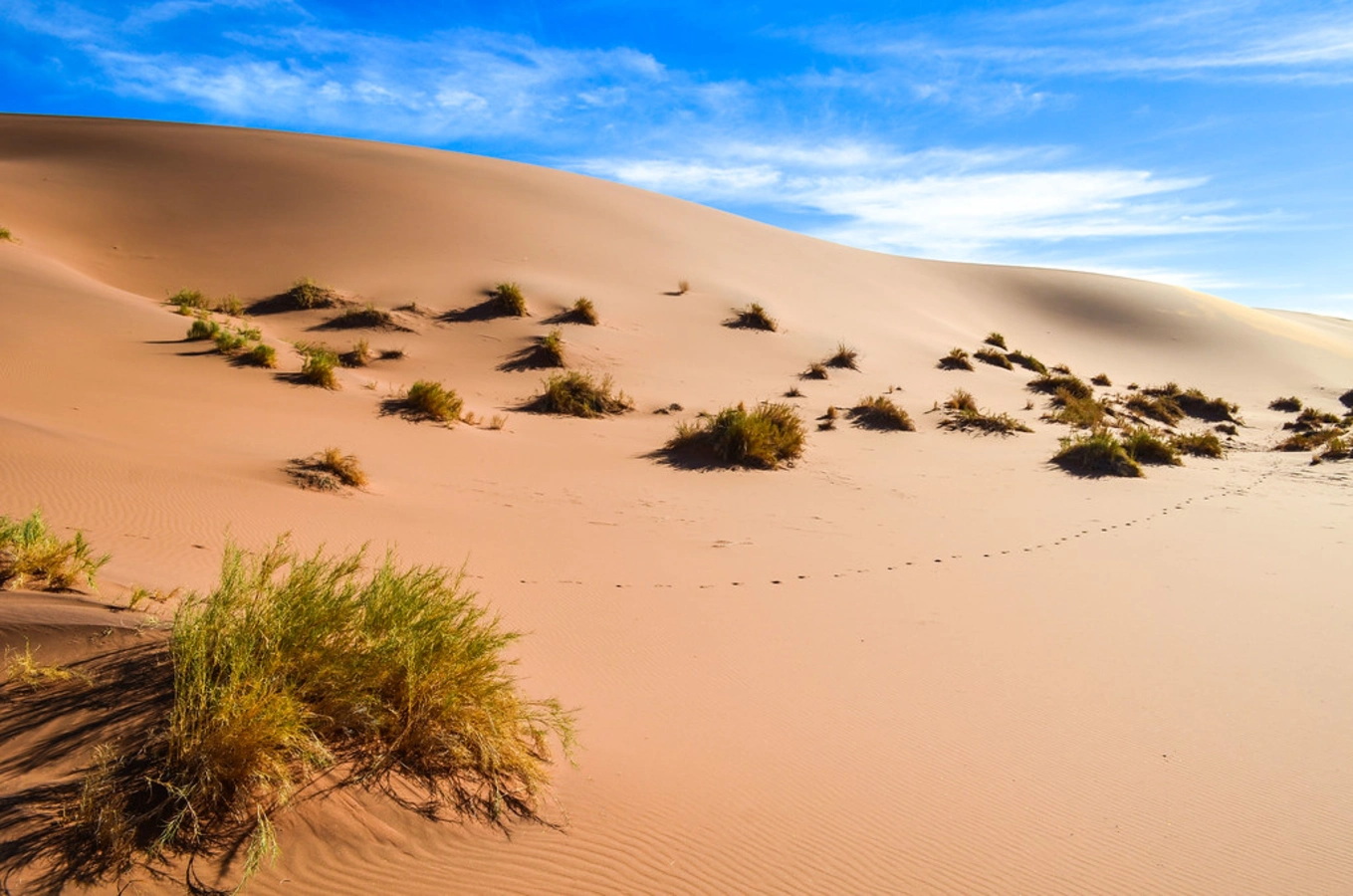 Hidden Vlei, Namibie