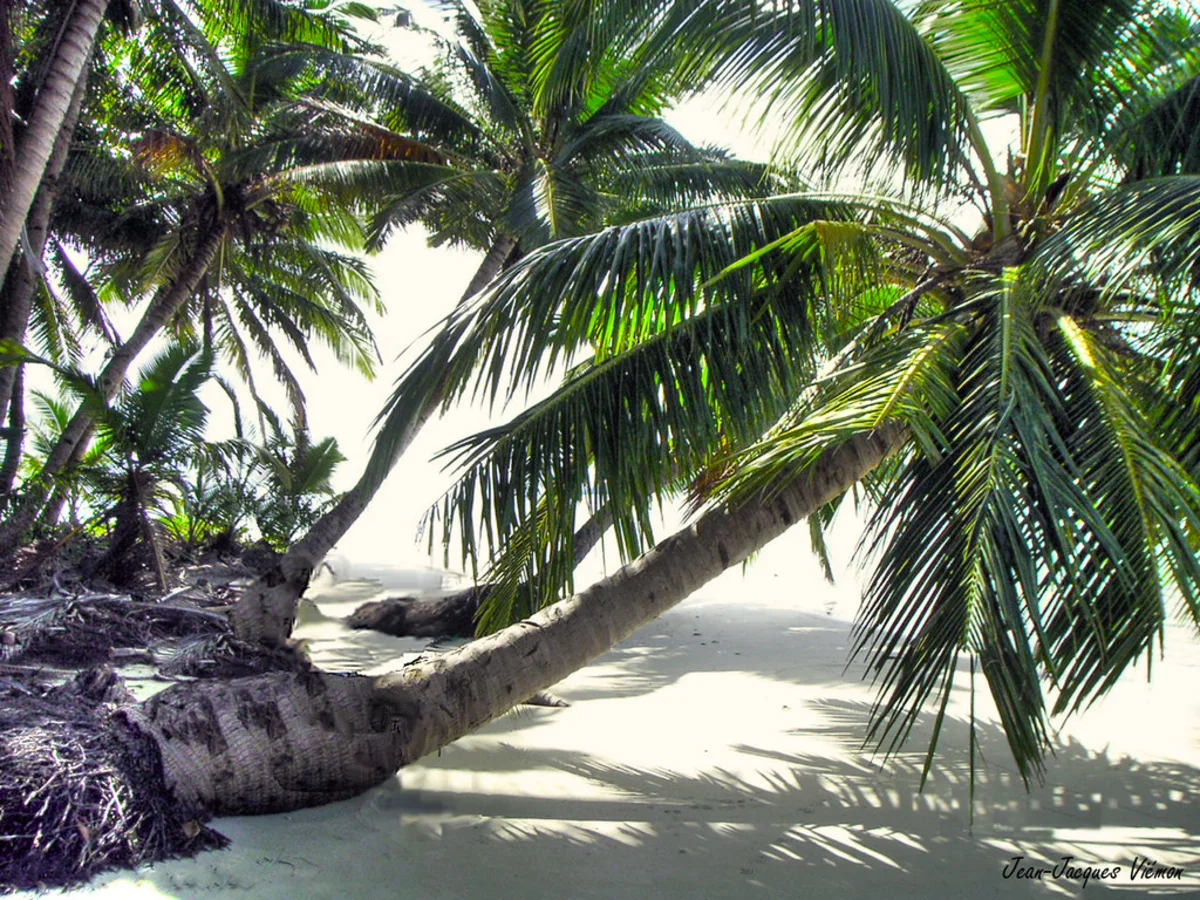 Île aux Nattes, Madagascar