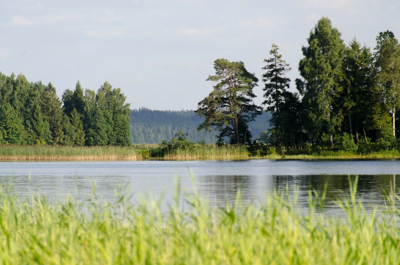 Lac Plateliai, Lituanie