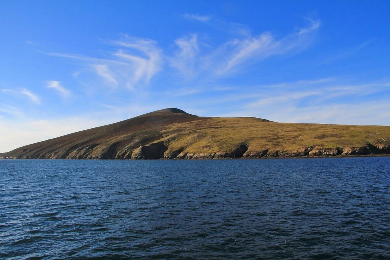 Île Saunders, Îles Malouines