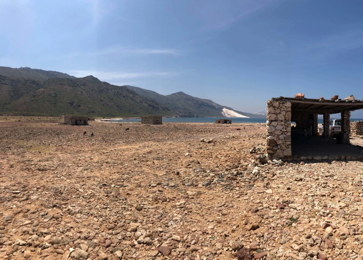 Dihamri Campsite, Yémen, Socotra