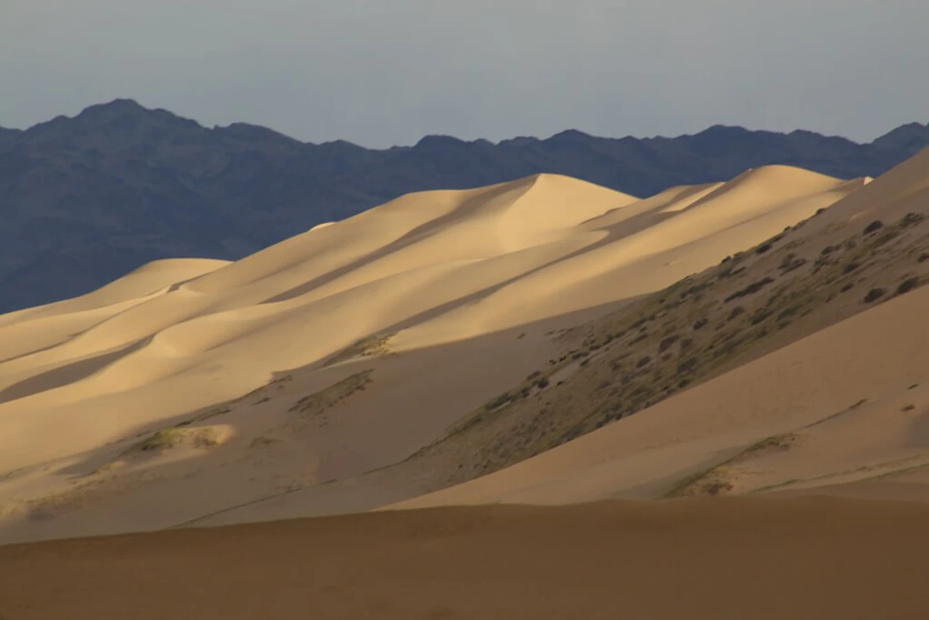 Dunes de Khongor, Mongolie