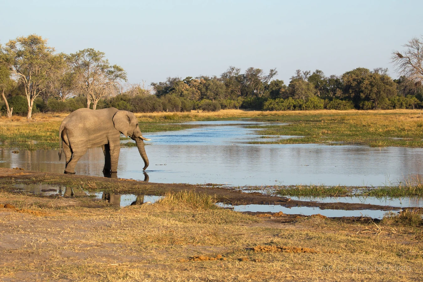 Khwai Private Reserve, Botswana