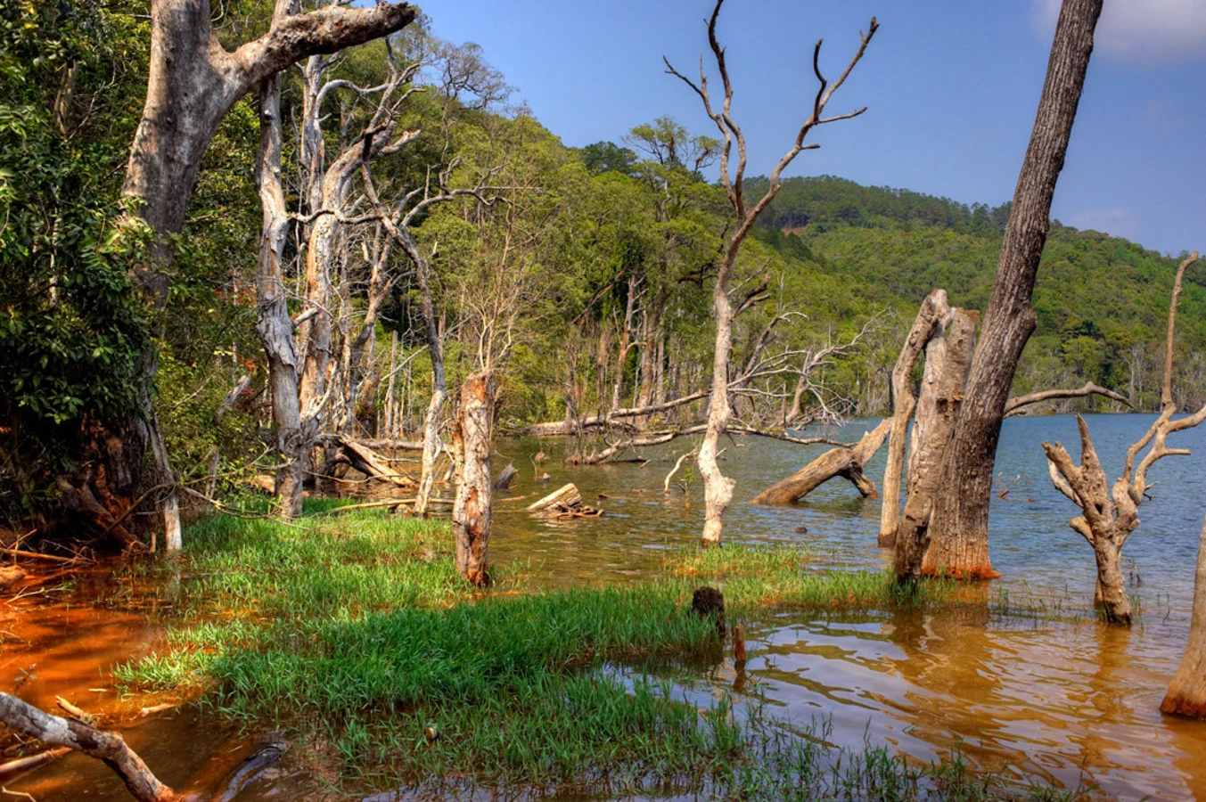 Lac Nong Fa, Laos
