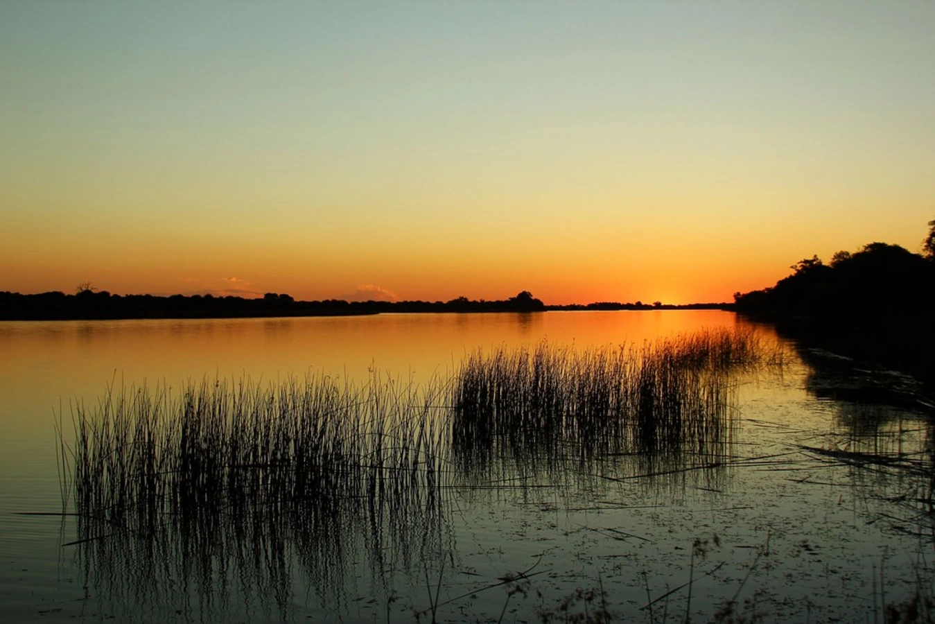 Boteti River, Botswana