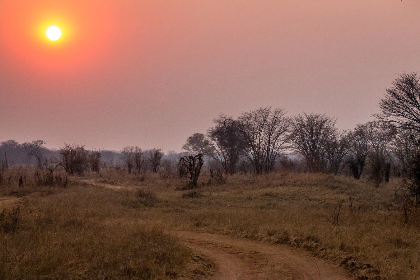 Parc national Hwange, Zimbabwe