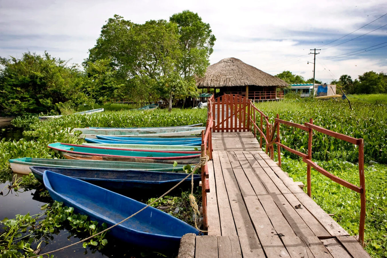 Pantanos de Centla, Mexique